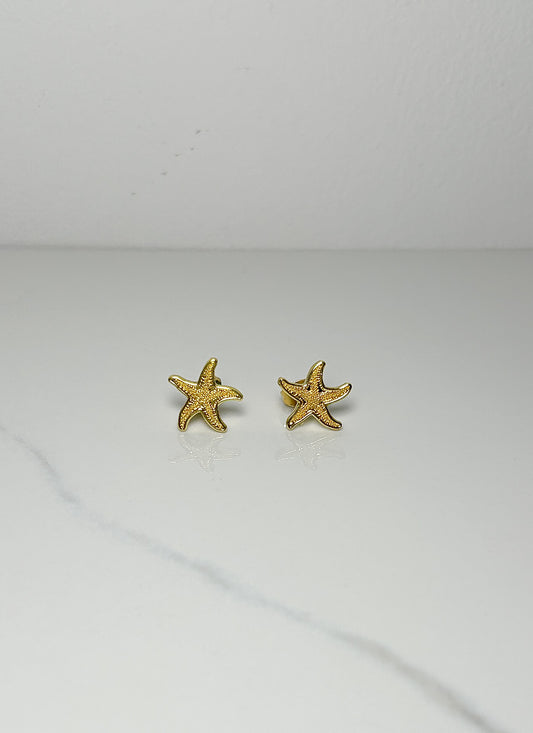 Starfish Studs